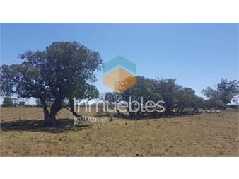 https://www.gallito.com.uy/chacra-en-zona-rural-zona-rural-inmuebles-22909387