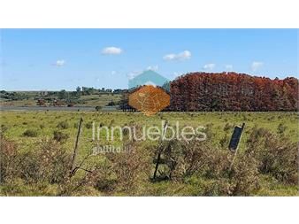 https://www.gallito.com.uy/chacra-a-metros-de-la-ruta-12-con-frente-a-la-laguna-del-s-inmuebles-22909455