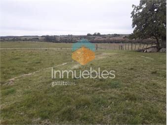 https://www.gallito.com.uy/campo-en-garzon-con-casa-consulte-inmuebles-22909471