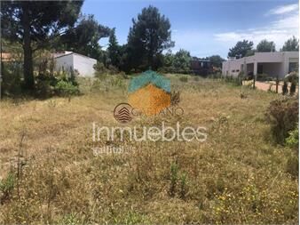 https://www.gallito.com.uy/terreno-en-venta-en-tio-tom-inmuebles-22890134