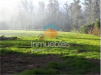 https://www.gallito.com.uy/espectacular-terreno-en-rincon-del-indio-punta-del-este-inmuebles-23640017