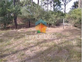 https://www.gallito.com.uy/en-venta-terreno-1070-m2-en-chihuahua-inmuebles-23405415