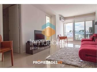 https://www.gallito.com.uy/departamento-amplio-edificio-nuevo-inmuebles-19647210