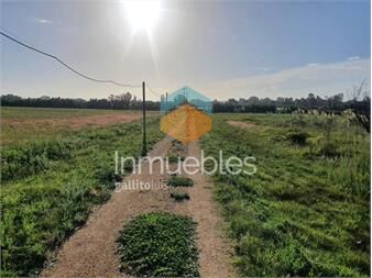https://www.gallito.com.uy/chacra-proximo-ruta-101-y-camino-el-gallo-inmuebles-21971397