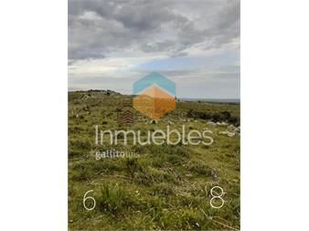 https://www.gallito.com.uy/venta-chacras-en-las-sierras-de-maldonado-inmuebles-23464201