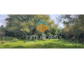 https://www.gallito.com.uy/venta-chacra-ruta-12-maldonado-inmuebles-23276525