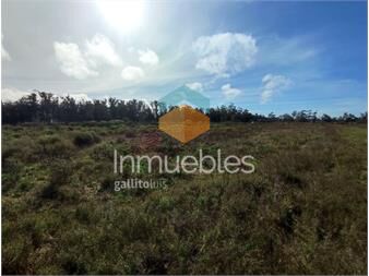 https://www.gallito.com.uy/venta-terreno-la-barra-inmuebles-24053141