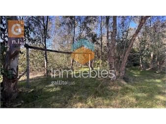 https://www.gallito.com.uy/terreno-en-punta-del-este-sauce-de-portezuelo-ref-6066-inmuebles-24206274