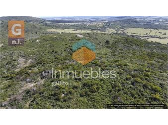 https://www.gallito.com.uy/terreno-en-piriapolis-ruta-37-piriapolis-ref-6178-inmuebles-24351352