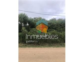 https://www.gallito.com.uy/terrenos-altos-en-la-barra-inmuebles-24437458
