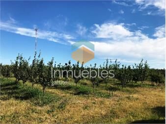 https://www.gallito.com.uy/proximo-camino-la-redencion-chacra-en-melilla-inmuebles-24440747