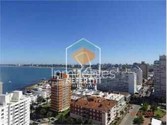 https://www.gallito.com.uy/apartamento-3-dormitorios-en-plena-peninsula-inmuebles-24614255