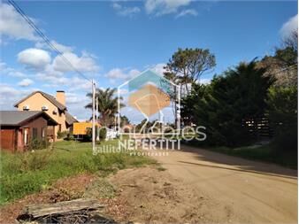 https://www.gallito.com.uy/venta-terreno-esquina-muy-bien-ubicado-en-san-francisco-inmuebles-24614395
