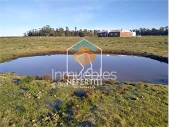 https://www.gallito.com.uy/venta-de-chacra-con-casa-de-campo-en-atlãntida-inmuebles-24614676