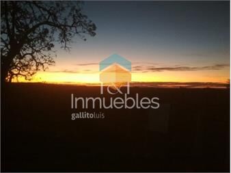 https://www.gallito.com.uy/espectacular-terreno-en-polo-logistico-inmuebles-23151823