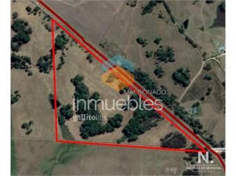 https://www.gallito.com.uy/campo-en-ruta-104-20-hectãreas-inmuebles-24464308