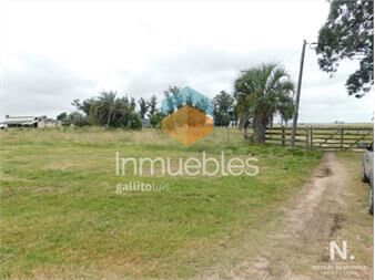 https://www.gallito.com.uy/campo-en-maldonado-ruta-9-inmuebles-24466973