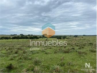 https://www.gallito.com.uy/gran-oportunidad-de-campo-inmuebles-24745175