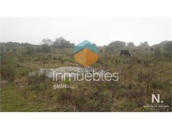https://www.gallito.com.uy/campo-ganadero-en-venta-en-aigua-inmuebles-24745226