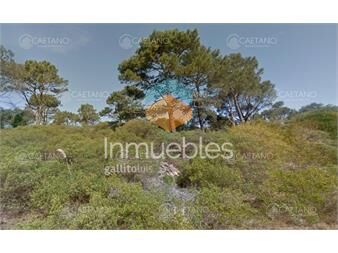 https://www.gallito.com.uy/venta-terreno-chihuahua-1000-metros-inmuebles-24749551