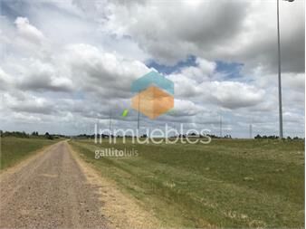 https://www.gallito.com.uy/30-hectareas-sobre-ruta-1-de-los-dos-lados-de-la-ruta-inmuebles-23816879