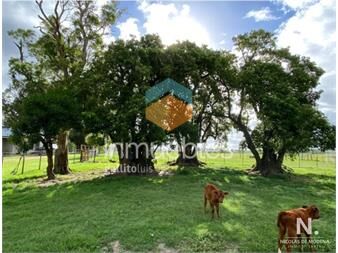 https://www.gallito.com.uy/campo-con-gran-potencial-inmuebles-24745174