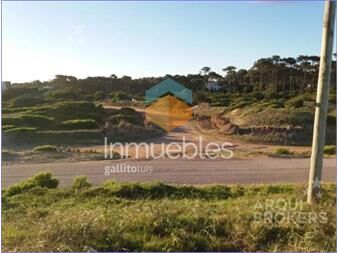 https://www.gallito.com.uy/terreno-en-chihuahua-ubicado-a-80-metros-de-la-playa-inmuebles-24816118