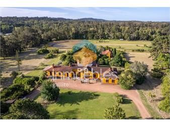 https://www.gallito.com.uy/chacra-de-1-ha-6000-m²-en-punta-ballena-maldonado-ref-inmuebles-24921954