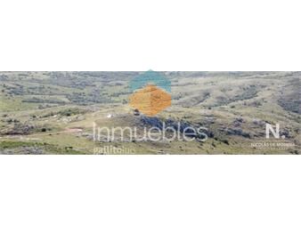 https://www.gallito.com.uy/chacra-a-la-venta-las-cañas-inmuebles-24987393
