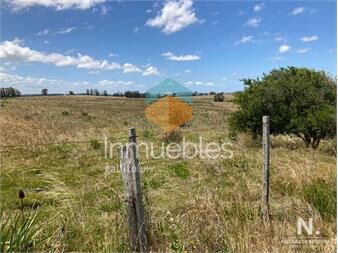 https://www.gallito.com.uy/campo-en-venta-de-10-hectareas-inmuebles-24987536