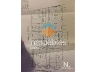 https://www.gallito.com.uy/gran-oportunidad-terreno-en-venta-sobre-ruta-39-zona-de-de-inmuebles-24987537