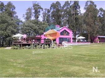 https://www.gallito.com.uy/espectacular-chacra-en-venta-la-pataia-inmuebles-24990391