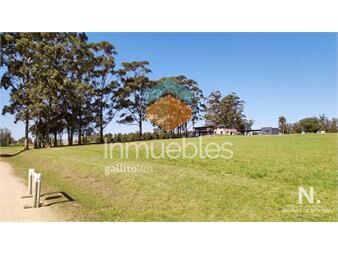 https://www.gallito.com.uy/hermoso-lote-terreno-en-el-quijote-chacras-inmuebles-24996031