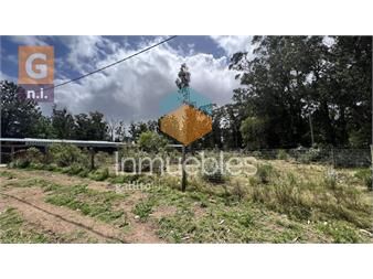 https://www.gallito.com.uy/terreno-en-piriapolis-punta-negra-ref-5592-inmuebles-25019207