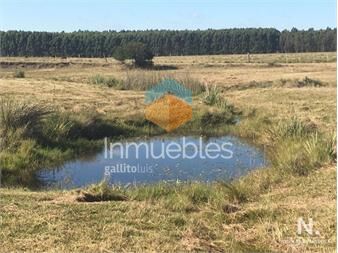 https://www.gallito.com.uy/campo-de-6-has-en-garzon-con-casa-consulte-inmuebles-25033638