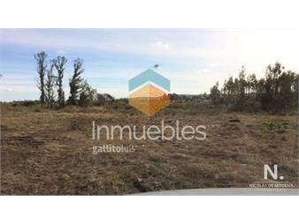 https://www.gallito.com.uy/terreno-en-san-carlos-san-carlos-inmuebles-25034033