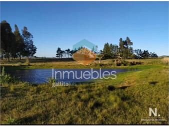 https://www.gallito.com.uy/campo-de-5-hectareas-en-venta-inmuebles-25034367