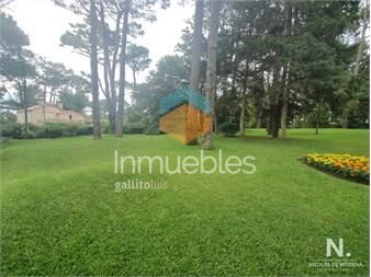 https://www.gallito.com.uy/terreno-en-venta-en-zona-del-golf-inmuebles-25034565