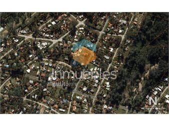 https://www.gallito.com.uy/terreno-en-venta-en-zona-de-tranquilidad-inmuebles-25035046