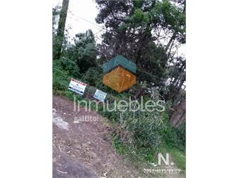 https://www.gallito.com.uy/terreno-inmuebles-25035063