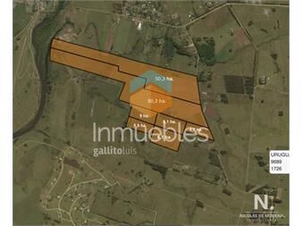 https://www.gallito.com.uy/gran-oportunidad-de-campo-inmuebles-25035182