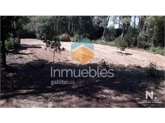 https://www.gallito.com.uy/vende-terreno-en-ocean-park-punta-ballena-inmuebles-25035711