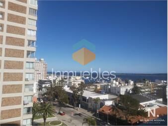 https://www.gallito.com.uy/venta-apartamento-de-1-dormitorio-en-peninsula-inmuebles-25036333