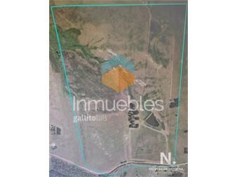 https://www.gallito.com.uy/campo-en-garzã³n-inmuebles-25036713
