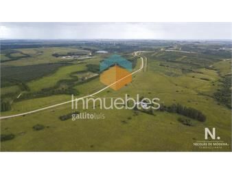 https://www.gallito.com.uy/campo-en-garzon-inmuebles-25036975