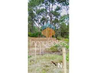https://www.gallito.com.uy/venta-terreno-en-punta-ballena-gran-oportunidad-inmuebles-25037296