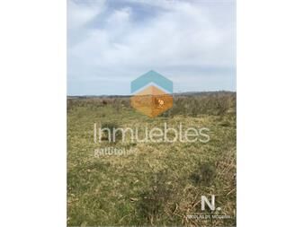 https://www.gallito.com.uy/campo-en-abra-del-perdomo-maldonado-inmuebles-25038067
