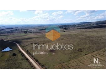 https://www.gallito.com.uy/venta-campo-en-paso-dutra-maldonado-inmuebles-25040159