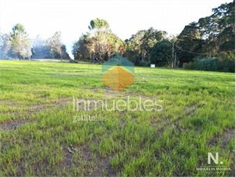 https://web5.gallito.com.uy/en-venta-hermoso-terreno-en-punta-del-este-inmuebles-25040517
