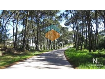 https://www.gallito.com.uy/terreno-amplio-en-punta-ballena-inmuebles-25042547